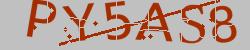 Retype the CAPTCHA code from the image